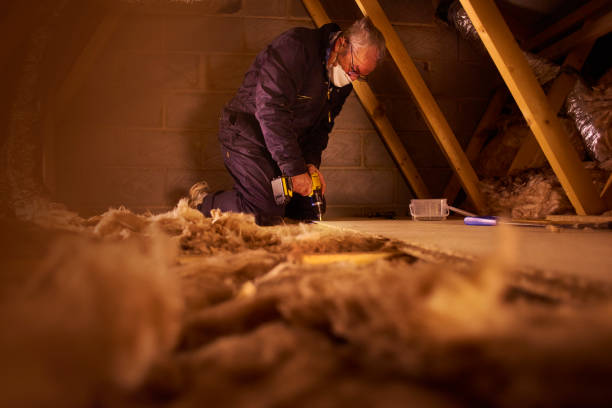 Best Insulation for Specific Applications in Lwa, CA